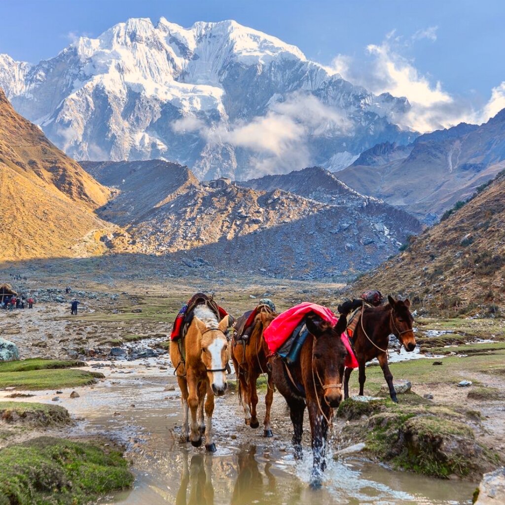 Salkantay Trek